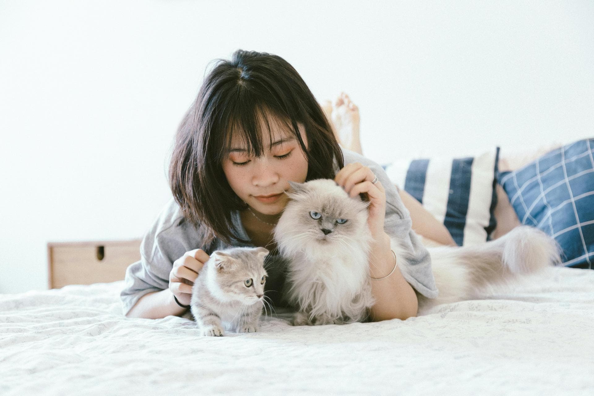 Dog & Cat Vets in Jeffersonville